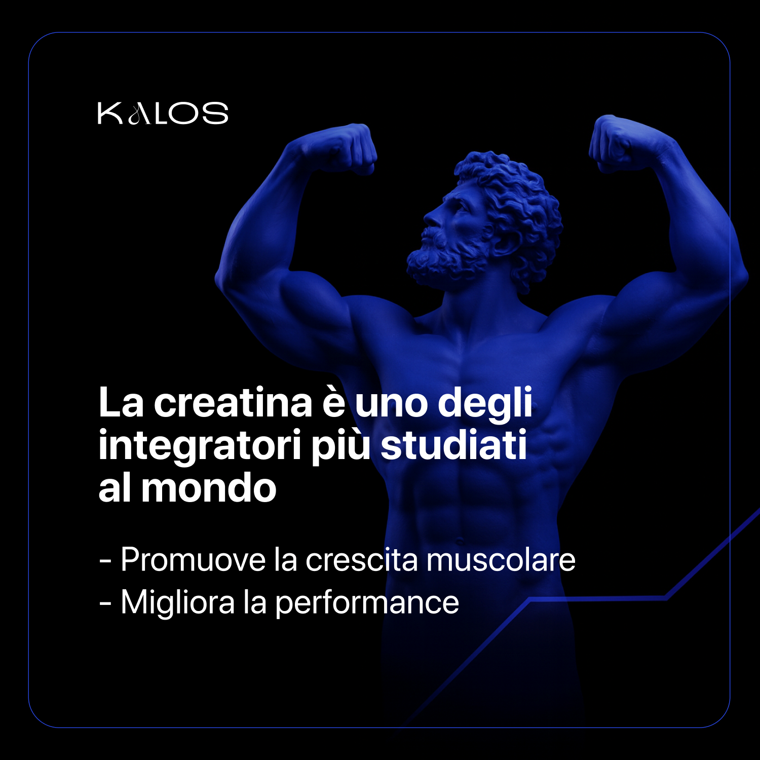 100% Pure Creatine: Hercules
